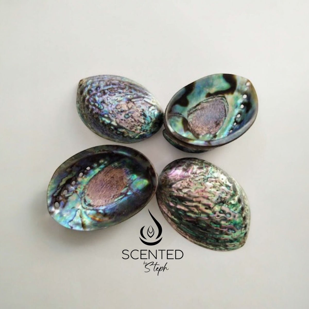 OCEAN ABALONE POLISHED SHELLS