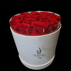 FOREVER ROSES ROUND GIFT SET